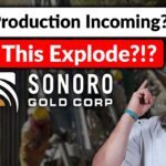 Sonoro Gold: One Of Mexico’s Next Gold Producers?