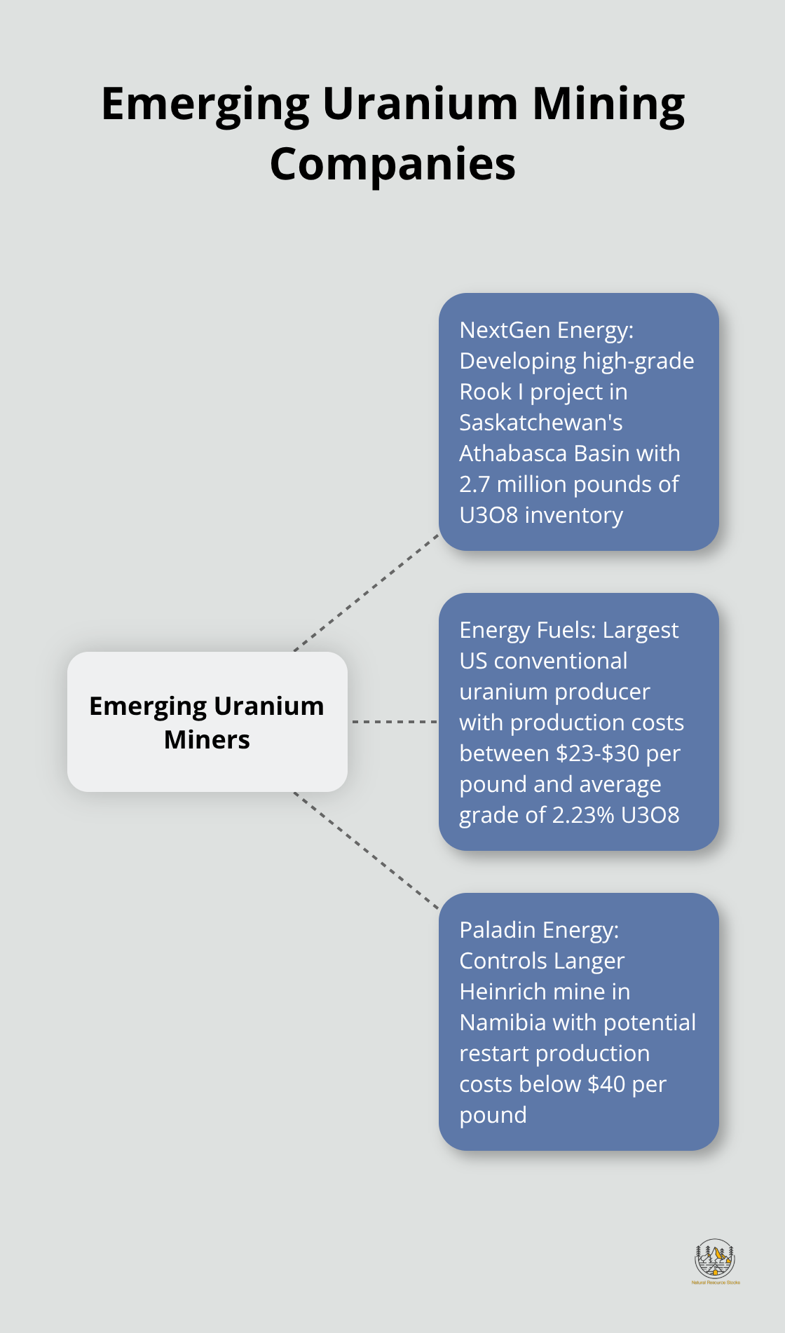 Hub and spoke chart highlighting key features of NextGen Energy, Energy Fuels, and Paladin Energy - uranium mining companies