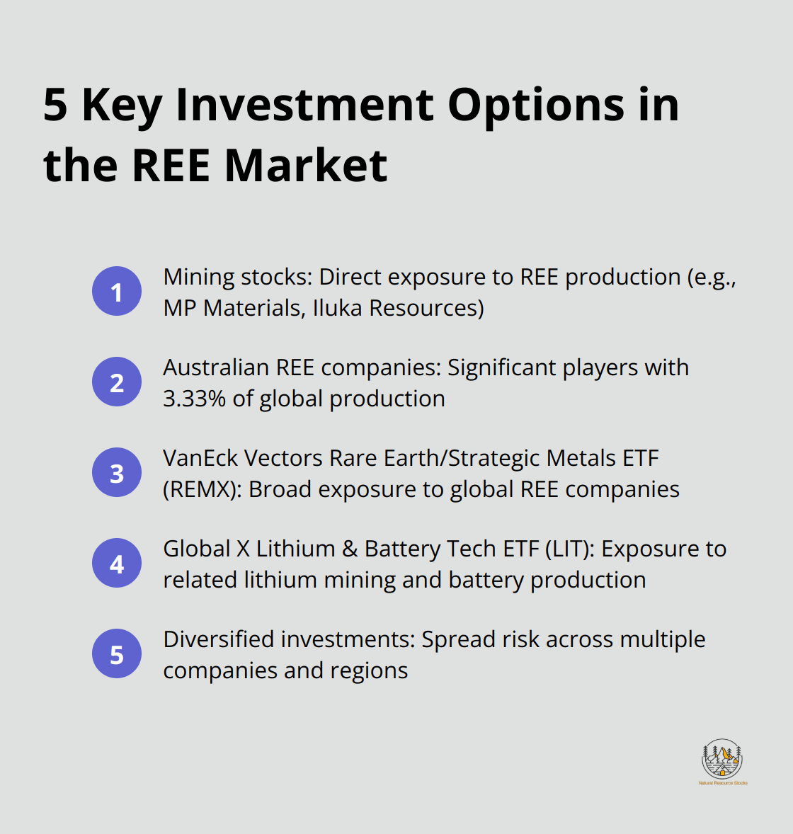 Ordered list of 5 key investment options in the Rare Earth Elements market, including mining stocks and ETFs